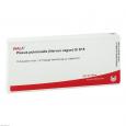 PLEXUS PULMONALIS Nervus vagus GL D 15 Ampullen