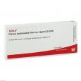 PLEXUS PULMONALIS Nervus vagus GL D 30 Ampullen