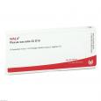 PLEXUS SACRALIS GL D 15 Ampullen