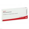 PLEXUS SACRALIS GL D 5 Ampullen