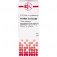 PLUMBUM ACETICUM D 6 Dilution