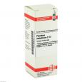 PLUMBUM METALLICUM D 12 Dilution