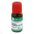 PLUMBUM METALLICUM LM 18 Dilution