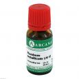 PLUMBUM METALLICUM LM 6 Dilution