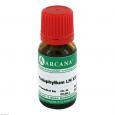 PODOPHYLLUM LM 12 Dilution