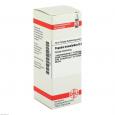 POPULUS TREMULOIDES D 3 Dilution