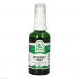 POTENZHOLZ Spray