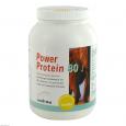 POWER PROTEIN 80 Vanille Pulver