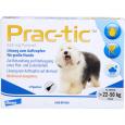 PRAC tic f.große Hunde 22-50 kg Einzeldosispip.