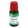 PREDNISON LM 1 Dilution