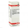 PROPOLIS D 15 Dilution