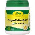 PROPOLIS HERBAL Kapseln vet.