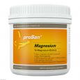 PROSAN Magnesium Pulver