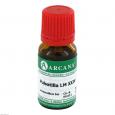 PULSATILLA LM 24 Dilution