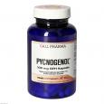 PYCNOGENOL 100 mg GPH Kapseln