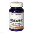 PYCNOGENOL 100 mg GPH Kapseln