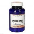 PYCNOGENOL 30 mg GPH Kapseln