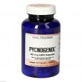 PYCNOGENOL 30 mg GPH Kapseln