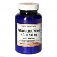 PYCNOGENOL 50 mg+Q10 100 mg GPH Kapseln