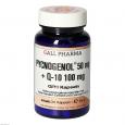 PYCNOGENOL 50 mg+Q10 100 mg GPH Kapseln