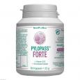 PYLOPASS FORTE 200 mg+Vit.B12+Olivenblattextr.Kps.