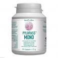 PYLOPASS MONO 200 mg bei Helicobacter pylori Kaps.