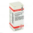 PYROGENIUM C 30 Globuli