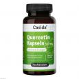 QUERCETIN KAPSELN 500 mg hochdosiert