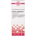 QUERCUS E GLANDIBUS D 3 Dilution