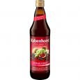 RABENHORST 11 Plus 11 Multivitaminmehrfr.Saft rot