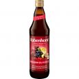 RABENHORST gesunder Blutdruck Bio Saft