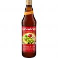 RABENHORST Ingwer-Mix Bio Saft