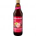 RABENHORST Innere Schönheit mit Biotin Saft