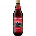 RABENHORST Pflaumi Trockenpflaume Saft