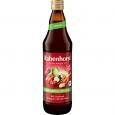 RABENHORST scharfes Gemüse Bio Saft