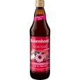 RABENHORST schützen mit Zink Saft