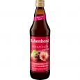 RABENHORST Wohlfühlen mit Eisen Saft
