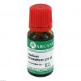 RADIUM bromatum LM 6 Dilution