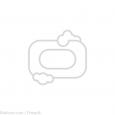 RASIERSEIFE Sandelholz 2er Pack GOLDDACHS