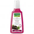 RAUSCH Aronia Anti-Grau Shampoo