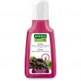 RAUSCH Aronia Anti-Grau Shampoo