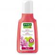 RAUSCH Malven Volumen-Shampoo