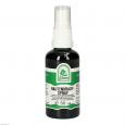 RAUTENKRAUT Spray