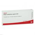 REGIO substantiae nigrae GL D 8 Ampullen