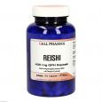 REISHI 400 mg GPH Kapseln