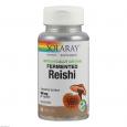 REISHI FERMENTIERT Solaray Kapseln