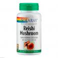 REISHI MUSHROOM Solaray Kapseln