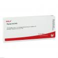 RENES GL D 10 Ampullen