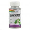 RESVERATROL SOLARAY Kapseln