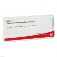 RETICULOENDOTHELIALES System GL D 10 Ampullen